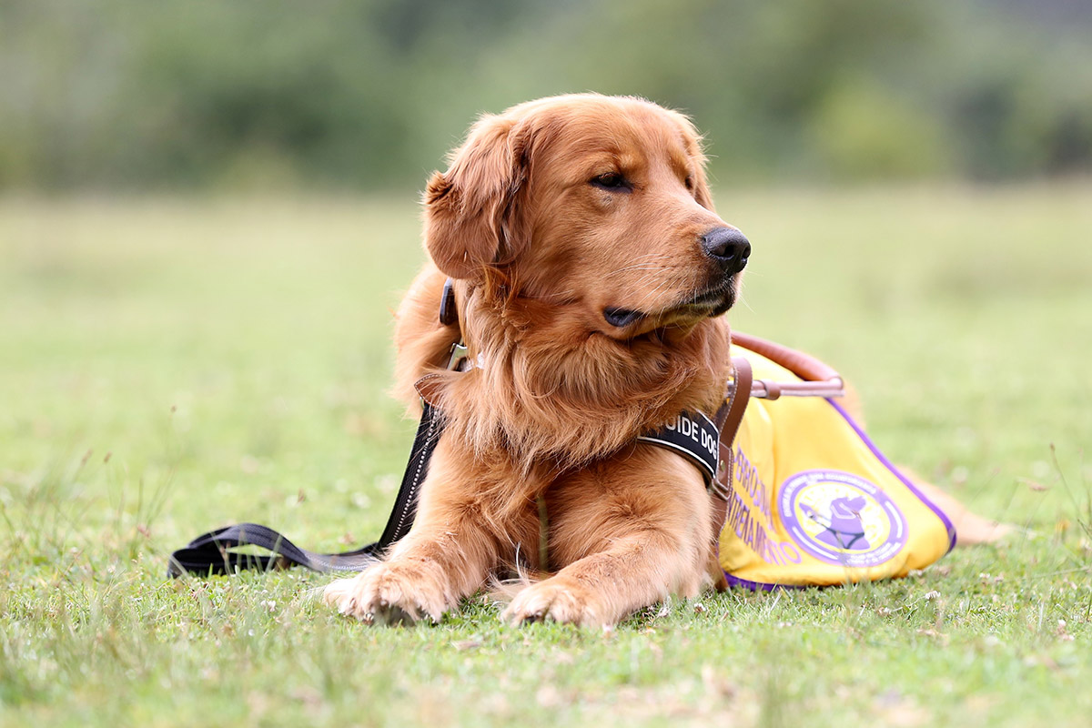 Max, tomando un breve descanso, para luego continuar con su entrenamiento.